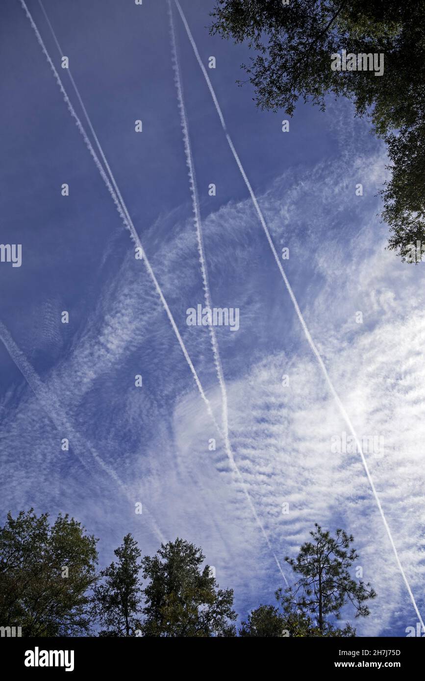 Jet contrails against a cool, fall sky over North Central Florida leave beautiful patterns as they disperse in the atmosphere. Stock Photo
