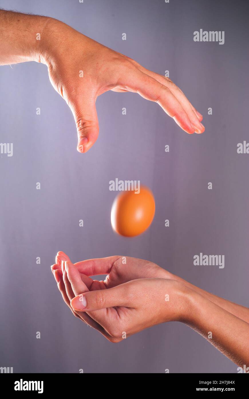 Chicken egg falling down from a man's hand to woman's hands. Trust and confidence conceptual photo Stock Photo