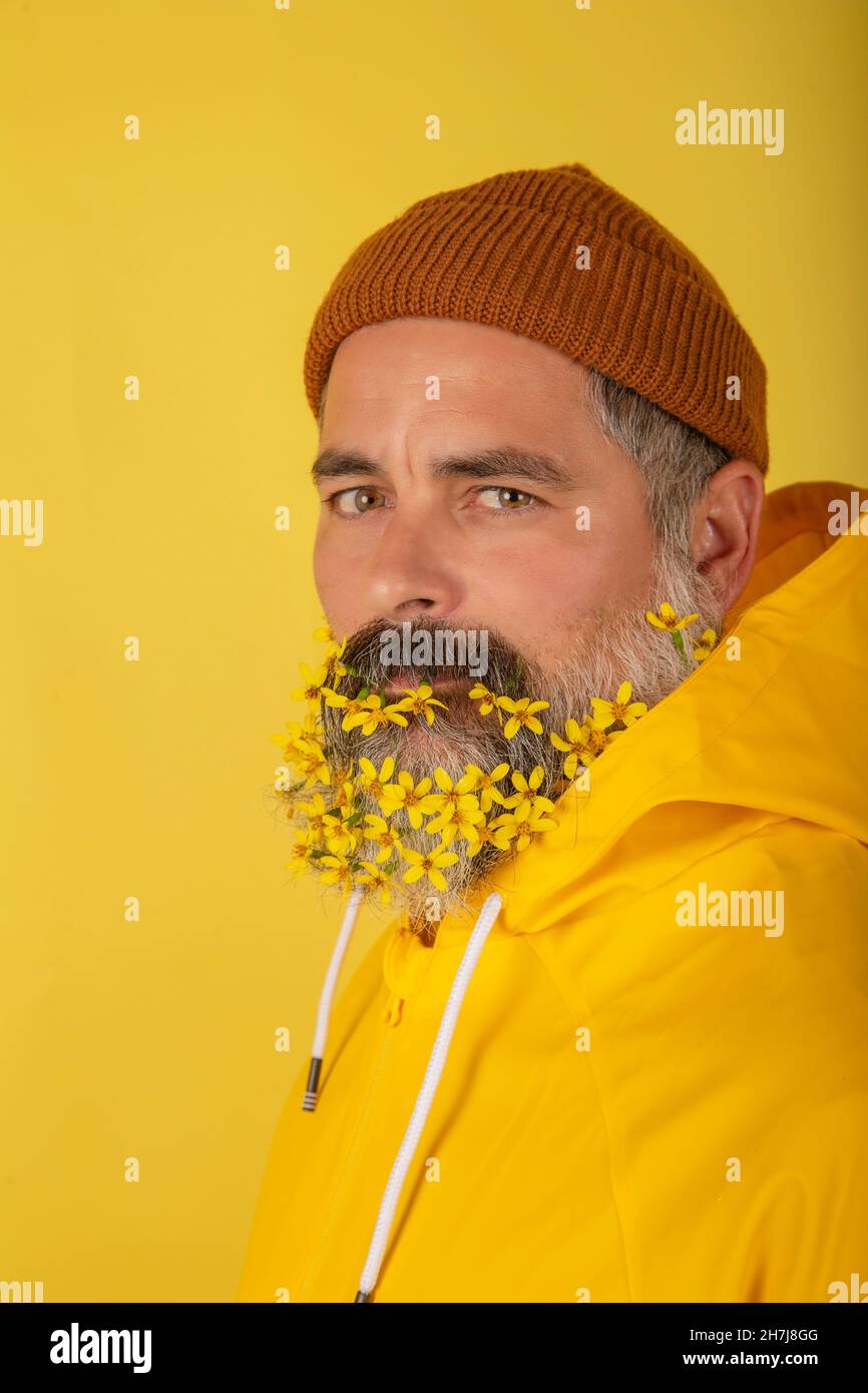 An attractive bearded man with flowers in his beard, isolated on yellow background. Vertical view Stock Photo