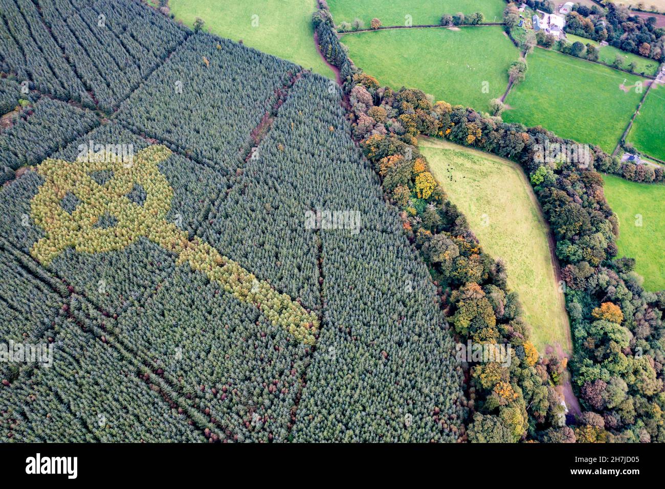 Aerial view of celtic cross growing in a forest in County Donegal - Ireland. Stock Photo