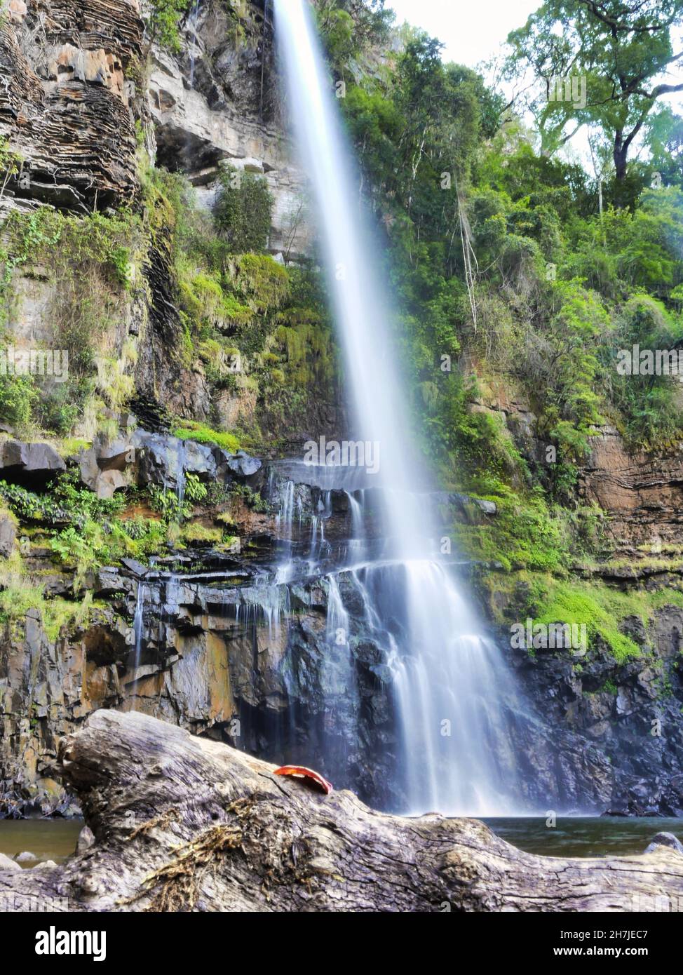 Vertical shot of a beautiful waterfall in a forest Stock Photo - Alamy