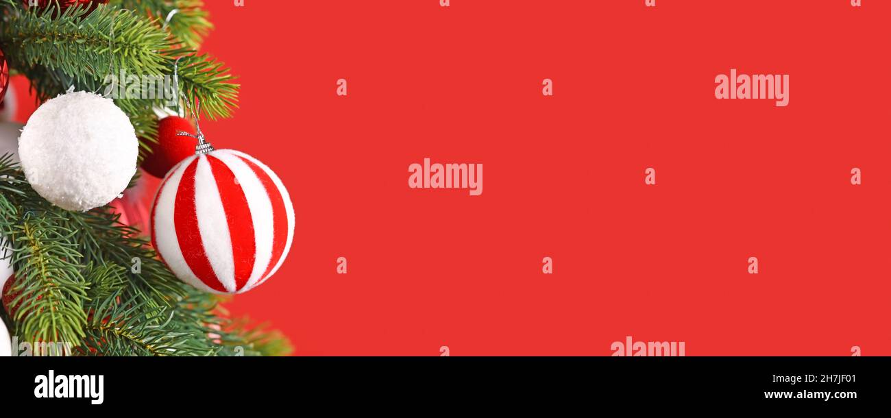 Christmas banner with striped red and white bauble on tree branch Stock ...