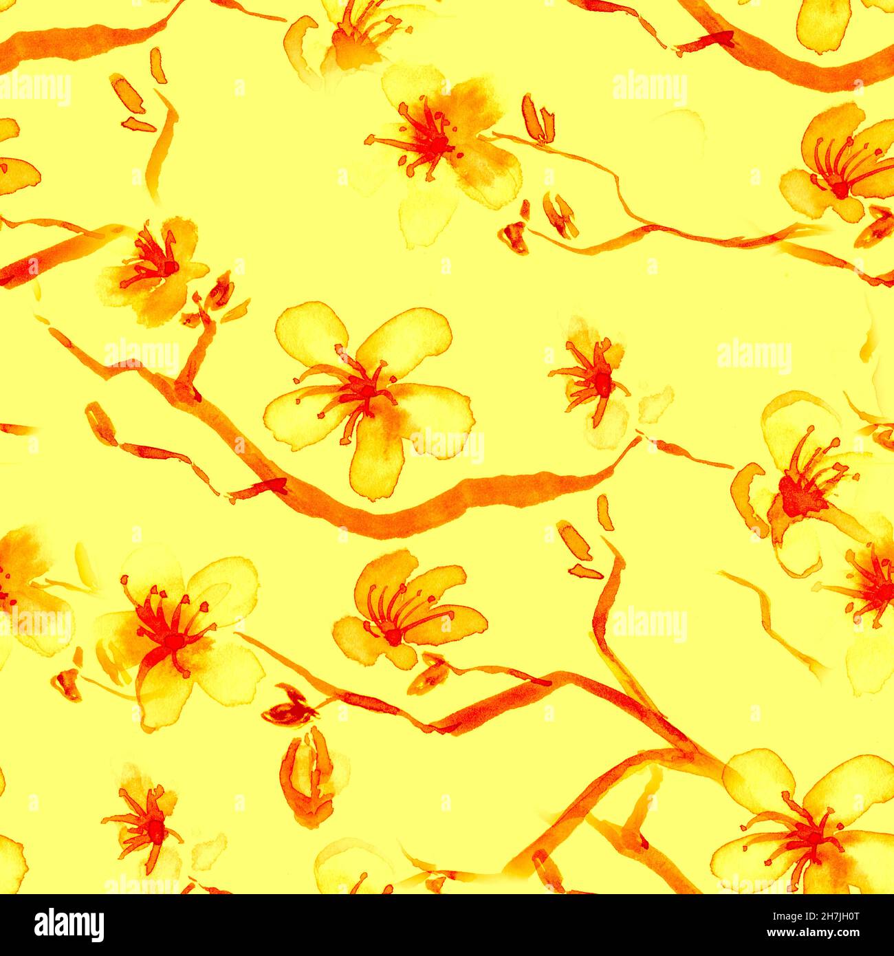 Watercolor Japanese Flower Painting. Sakura Stock Photo - Alamy