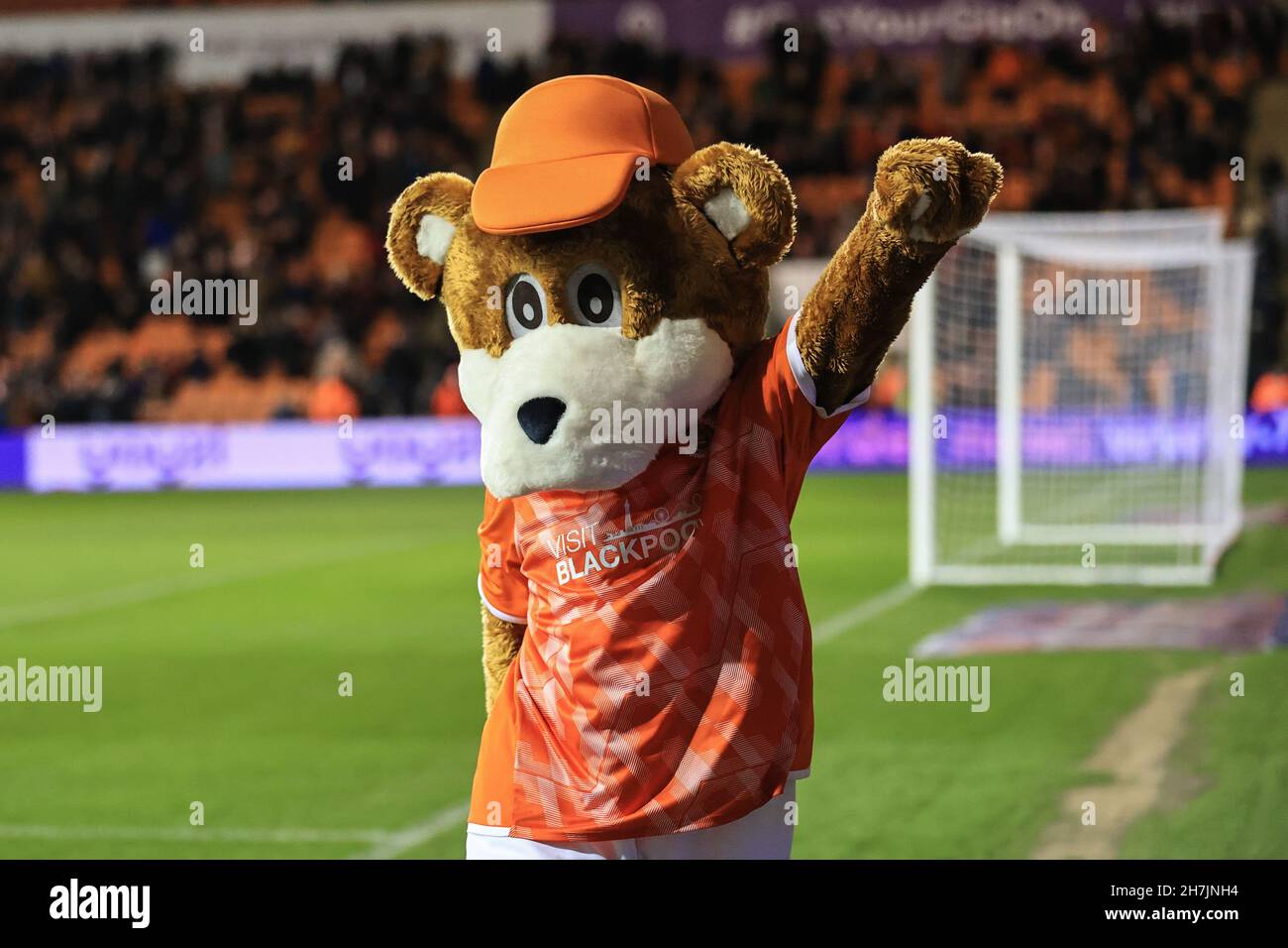Bloomfield Bear dances as Blackpool fans sing away Stock Photo Alamy