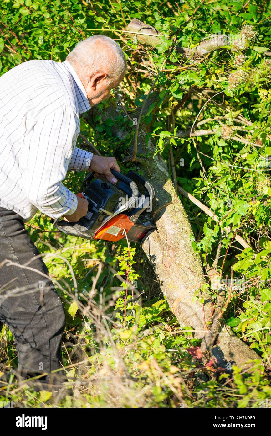 Figure of a man cutting trees and bushes with a petrol chainsaw to ...