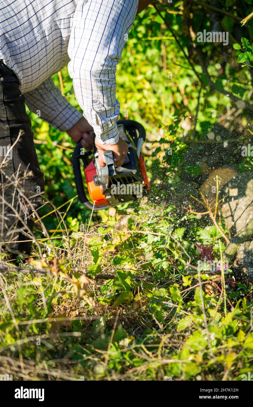 Figure of a man cutting trees and bushes with a petrol chainsaw to ...