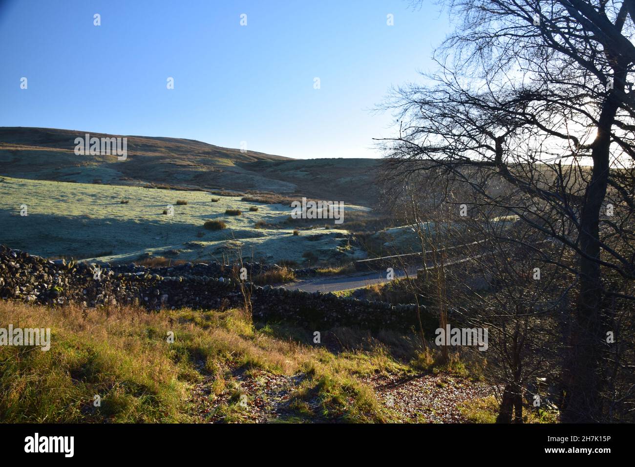 North Yorkshire's upland limestone countryside highlighted by early ...