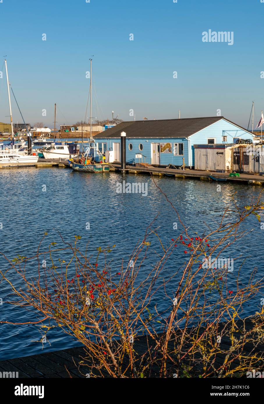fresh fish restaurant and shop at bembridge on the isle of wight coastline, flating cafe and fishmongers on the shoreline of isle of wight bembridge. Stock Photo