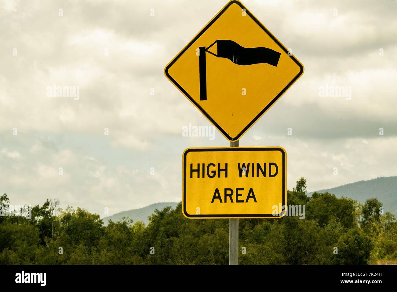Warning road sign of high wind area with tree and cloudy sky background