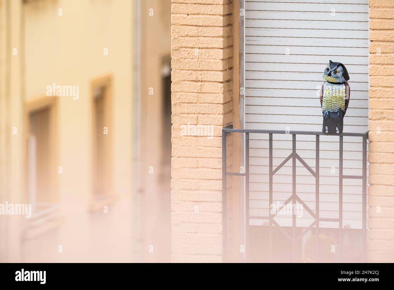 Fake owl placed to scare away pigeons. Barcelona. Catalonia. Spain