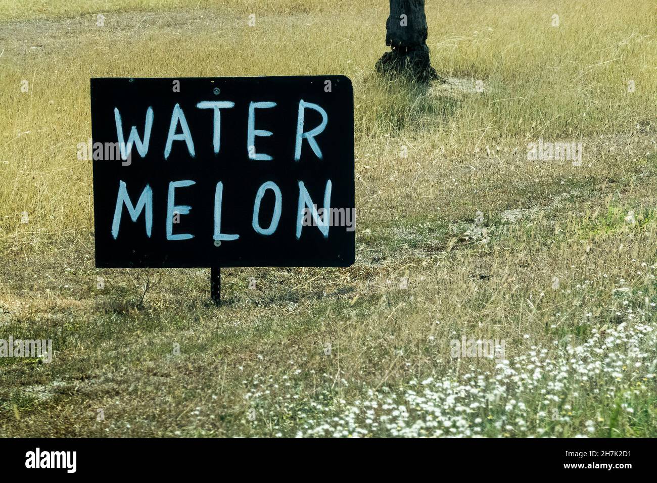 Watermelon for sale sign hand printed in black and white to advertise