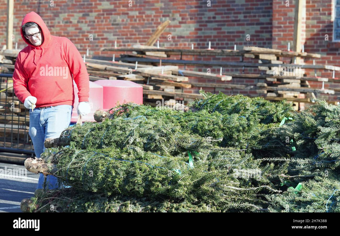 St. Louis, United States. 23rd Nov, 2021. A worker counts Christmas
