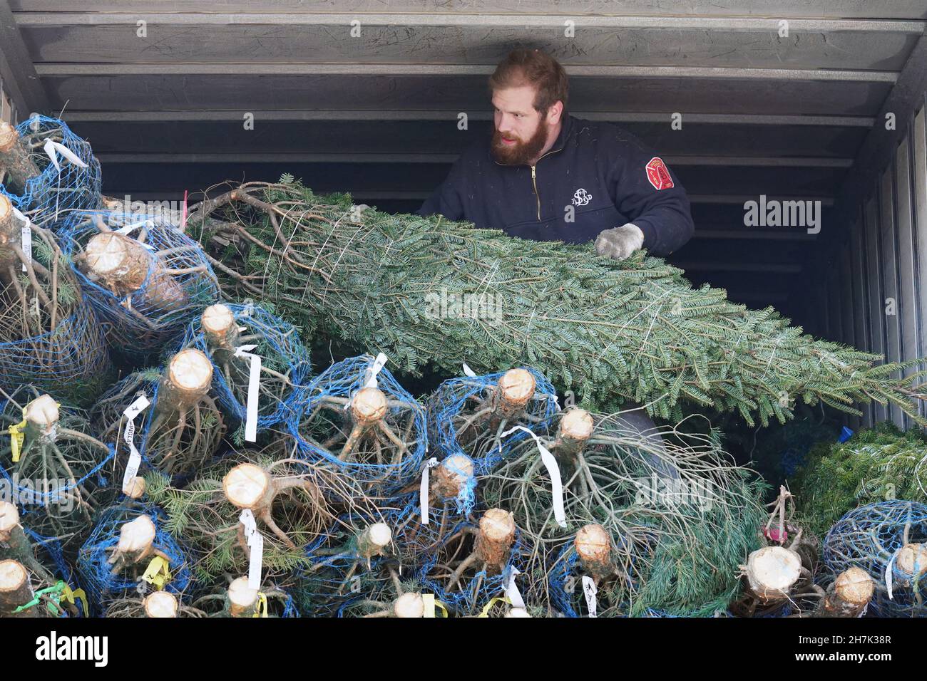 St. Louis, United States. 23rd Nov, 2021. A worker unloads a Christmas