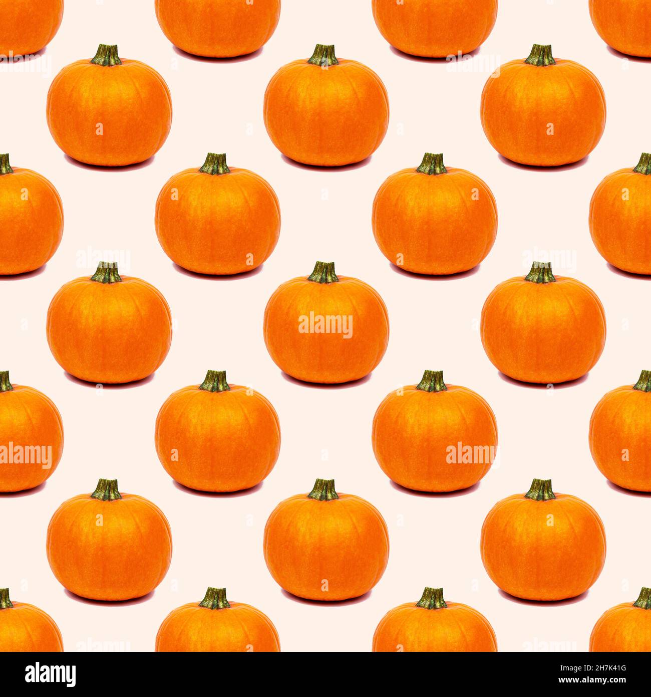 Yellow and orange pumpkin repeat seamless pattern on light background. Stock Photo