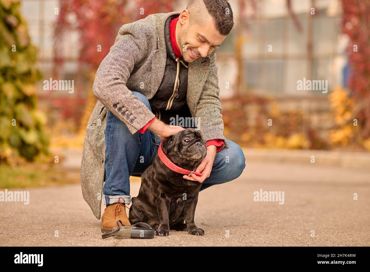 Why Do We Put A Collar Around A Pet Dogs Neck