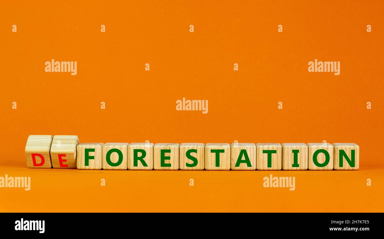 Forestation or deforestaion symbol. Turned wooden cubes and changed the ...