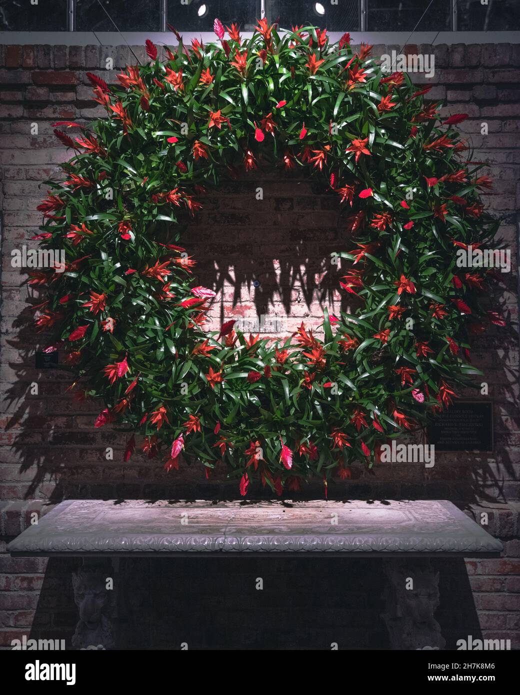 Vertical shot of an indoor decoration made of Begonia flowers Stock Photo