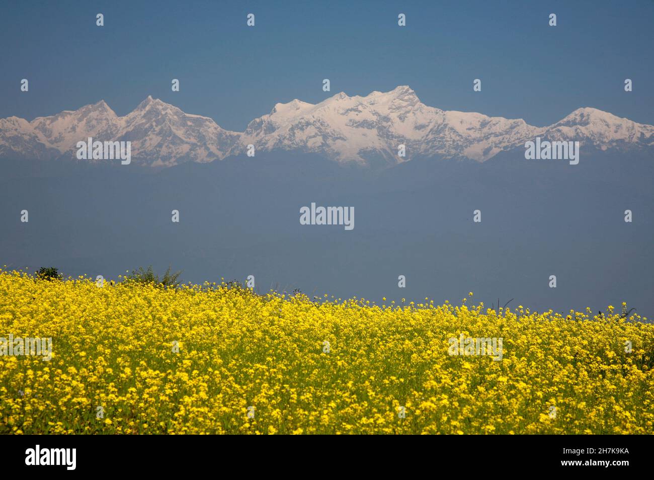 View of Himalaya from Bandipur, Nepal Stock Photo