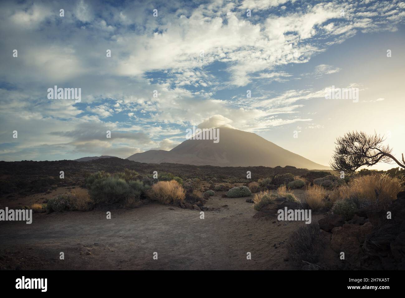 Mesmerizing scene hi-res stock photography and images - Alamy