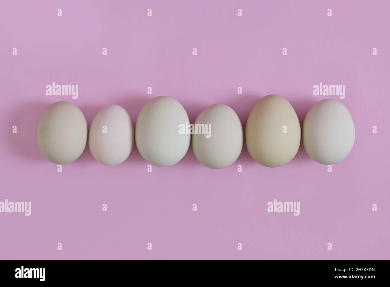 Eggs in a row similars but at the same time differents. Concept of equality Stock Photo