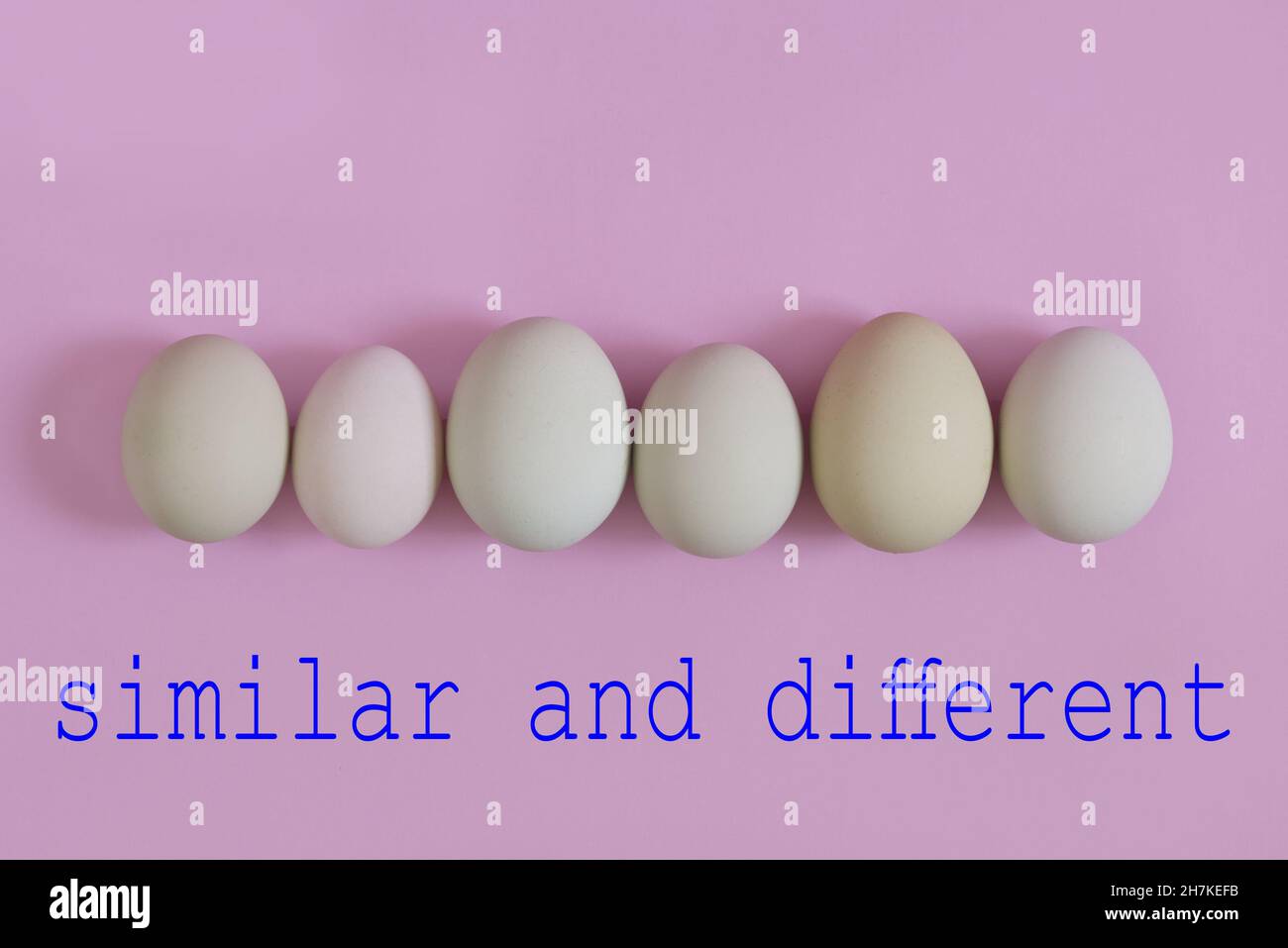 Conceptual photo with text. Eggs similars but differents Stock Photo