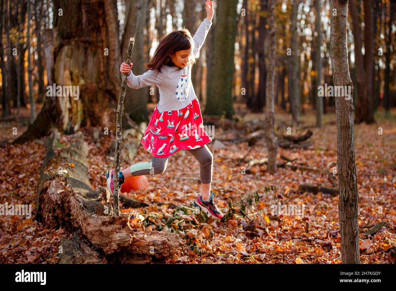 A little girl leaps of fallen tree into pile of leaves in autumn Stock