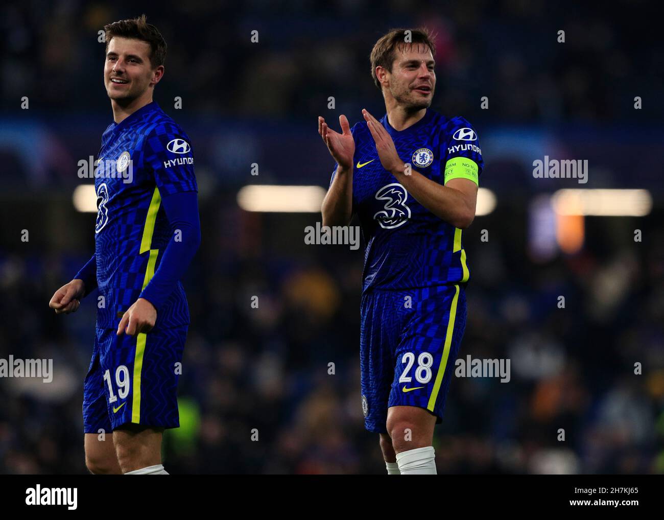 September 12, 2021, London, United Kingdom. The emblem of the Chelsea F.C.  football club on the background of a modern stadium Stock Photo - Alamy