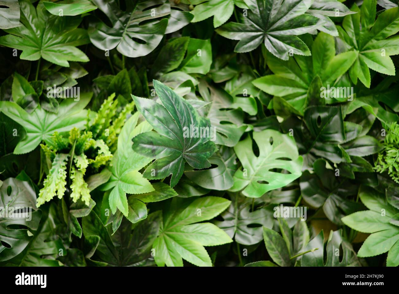 Green background of artificial green leaves Stock Photo Alamy