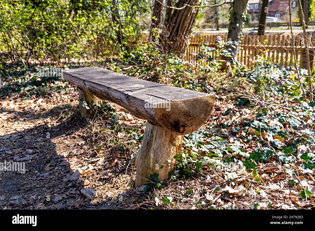 Older wooden bench in a natural park, made from a tree trunk and buried