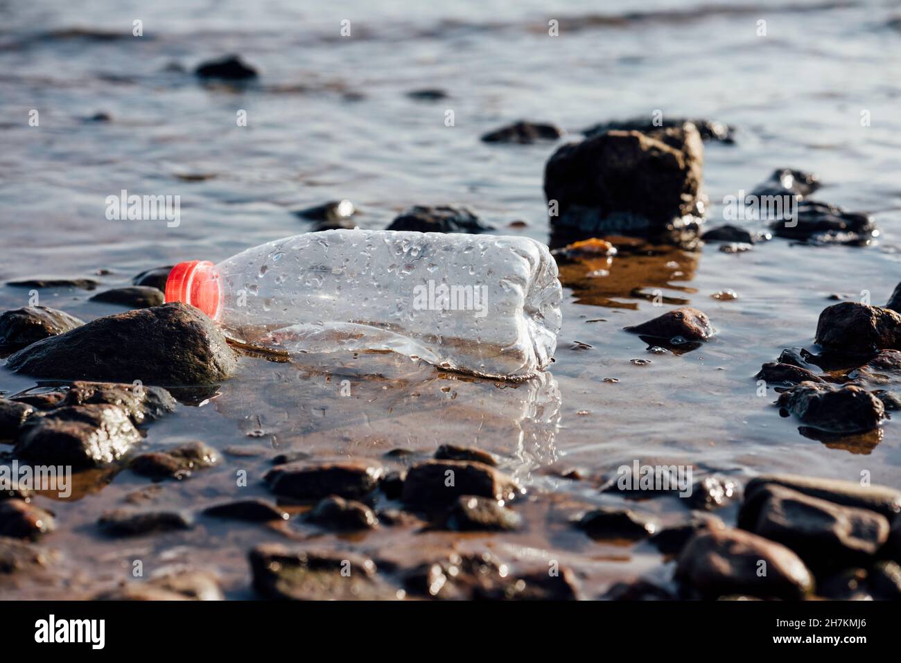 Plastic bottle floating on water Stock Photo Alamy