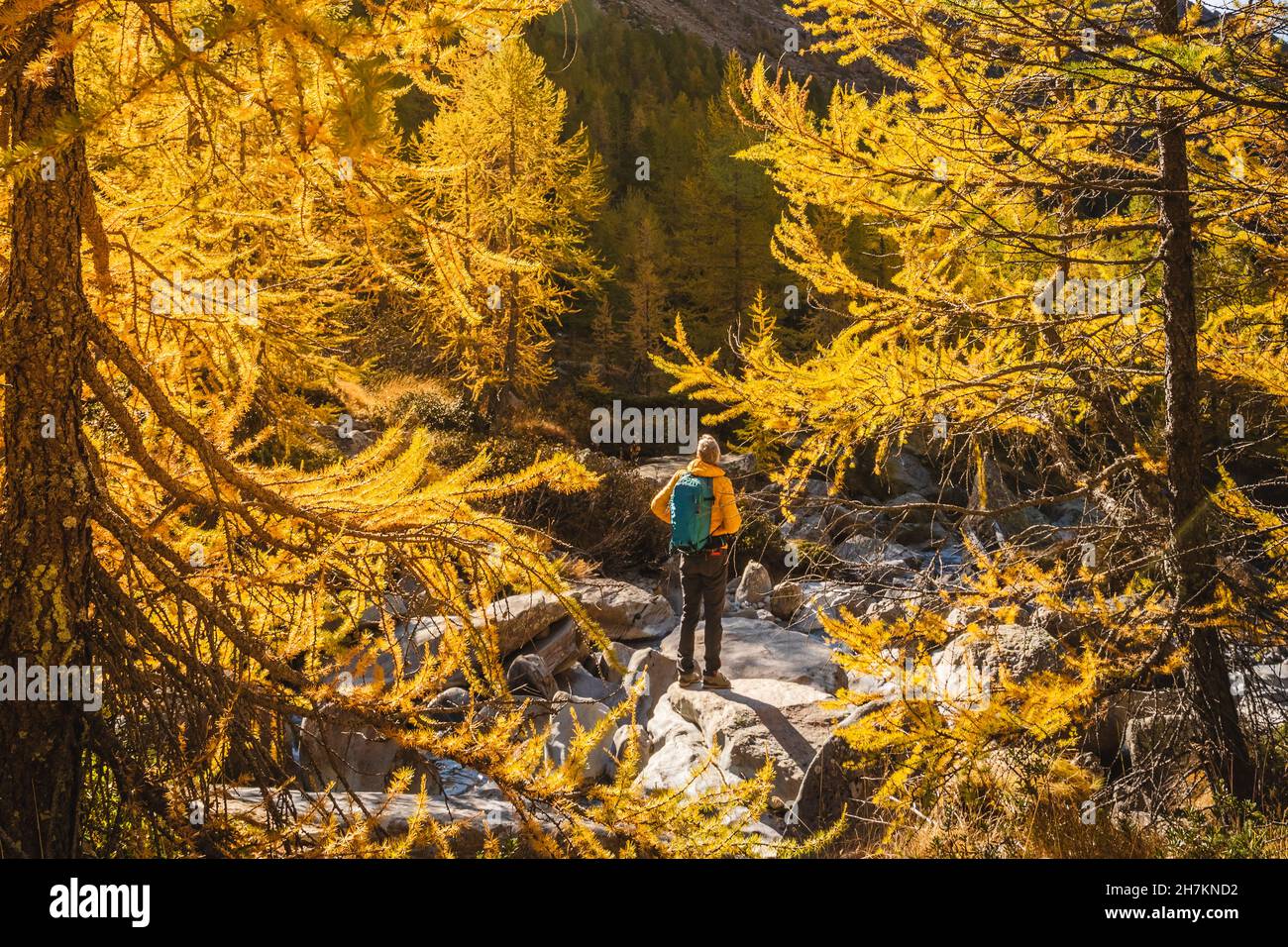 Male hiker backpack standing hi-res stock photography and images - Alamy