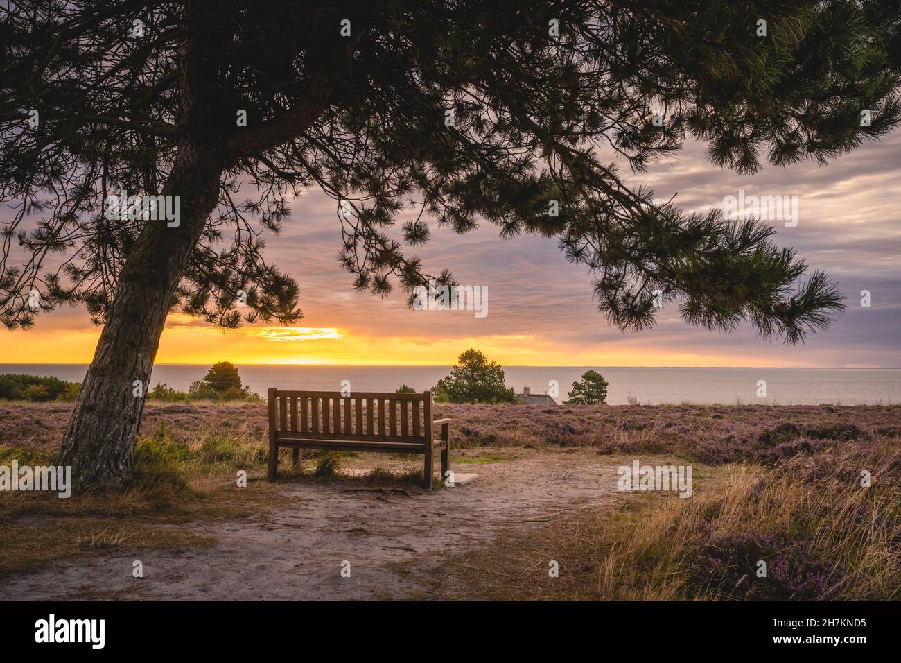 Empty bench overlooking Wadden Sea in Braderuper Heide reserve at sunset Stock Photo