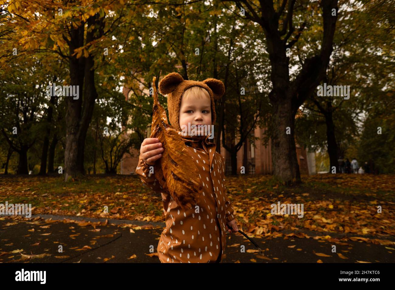 Boy playing with dry leaf in autumn park Stock Photo - Alamy