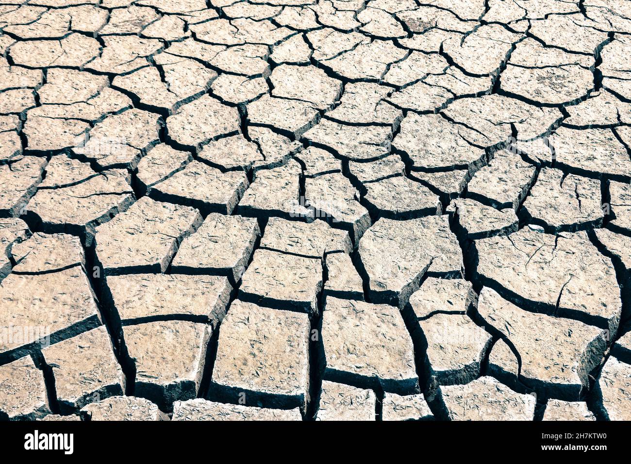 Dry cracked earth drought dry earth dry soil arid clay soil with cracks Stock Photo