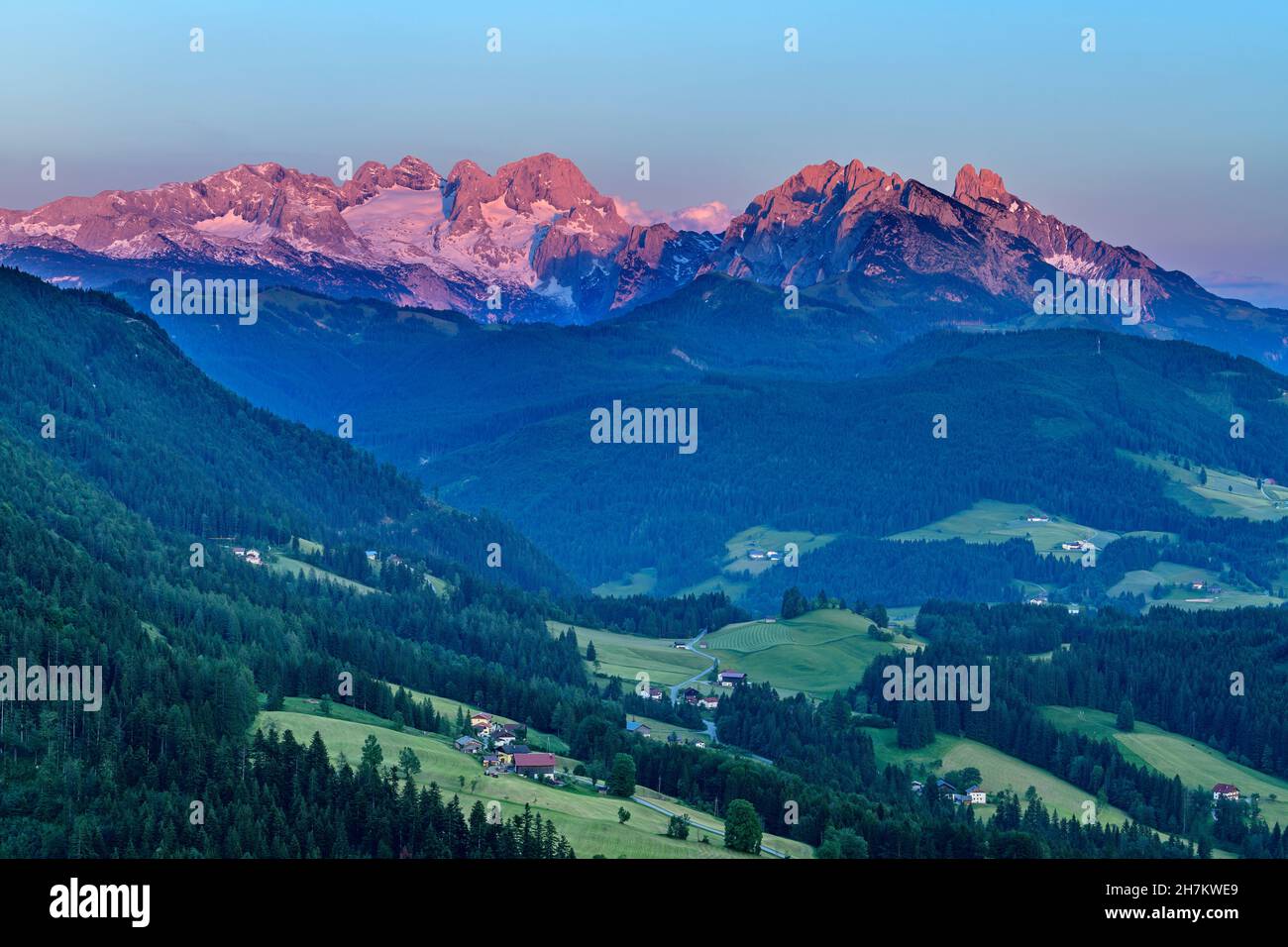 Pine trees on mountain at Salzburg, Austria Stock Photo