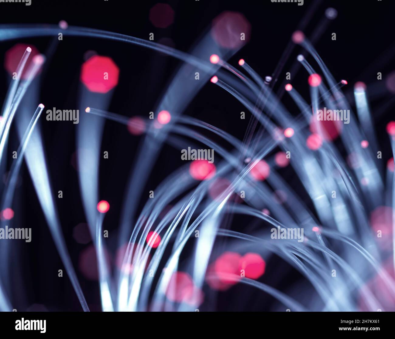 Fibre optics carrying data across internet Stock Photo