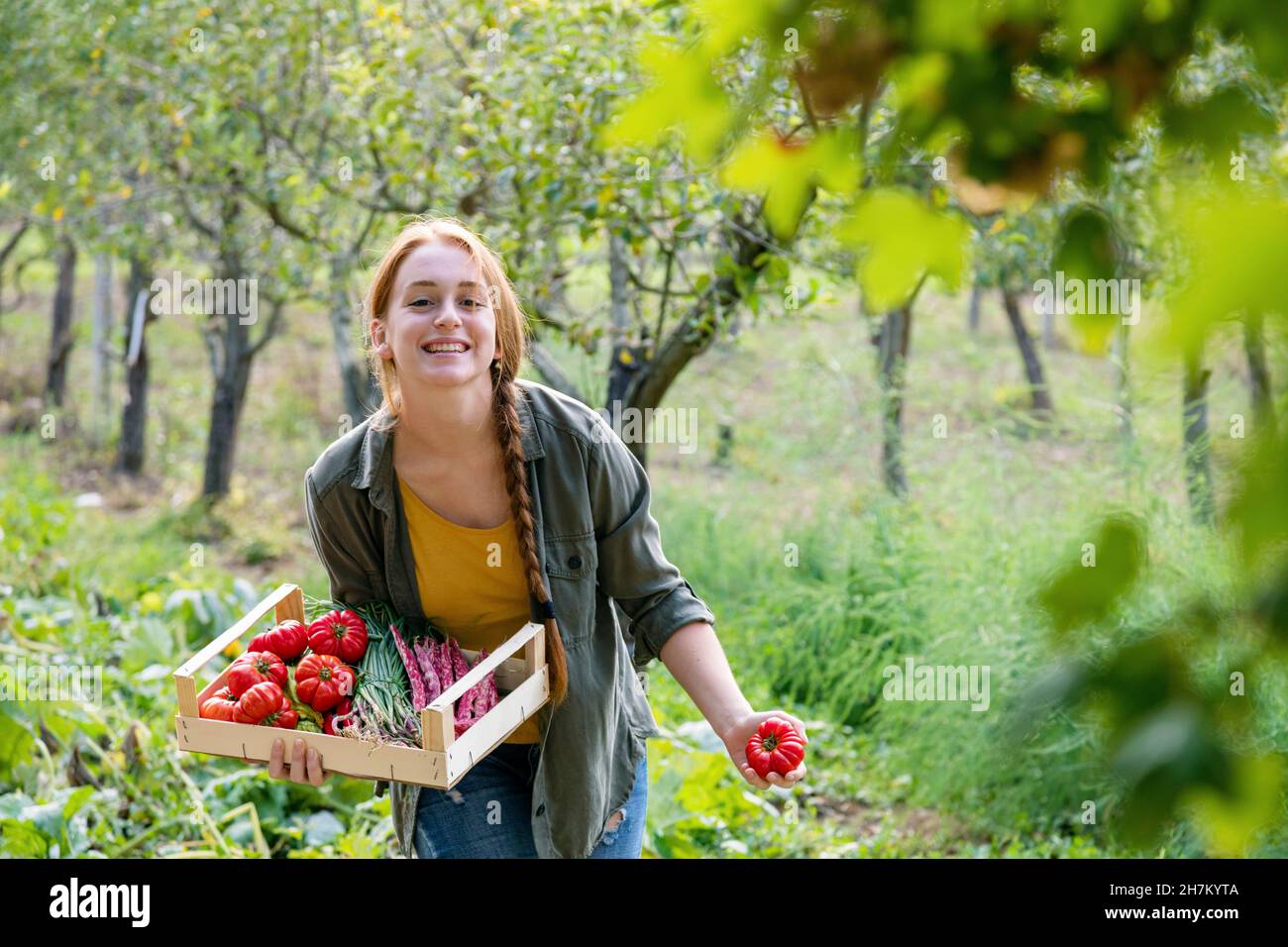 Happy female farmer with crate holding tomato in garden Stock Photo