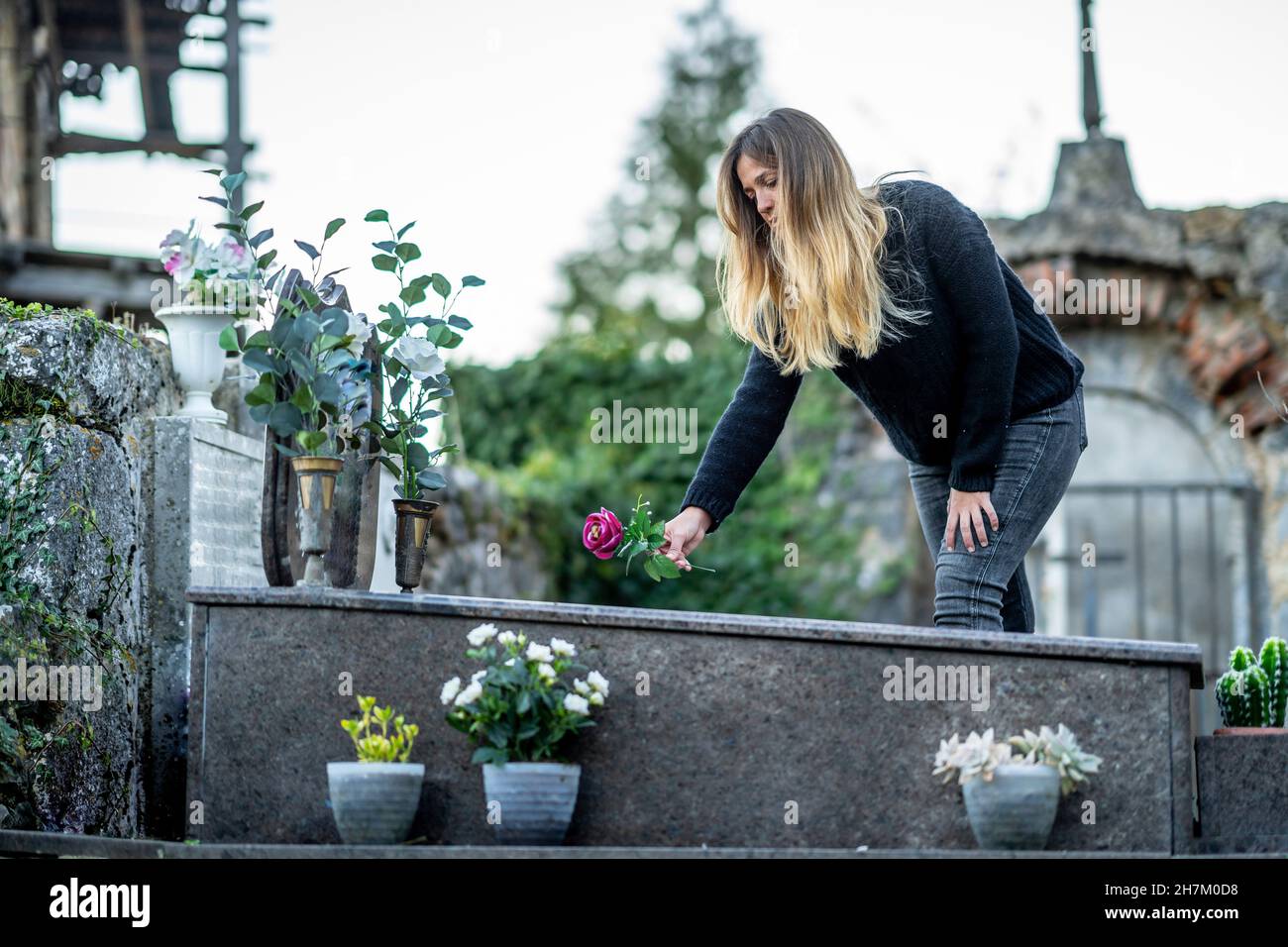 Blond woman putting flower on grave at cemetery Stock Photo Alamy
