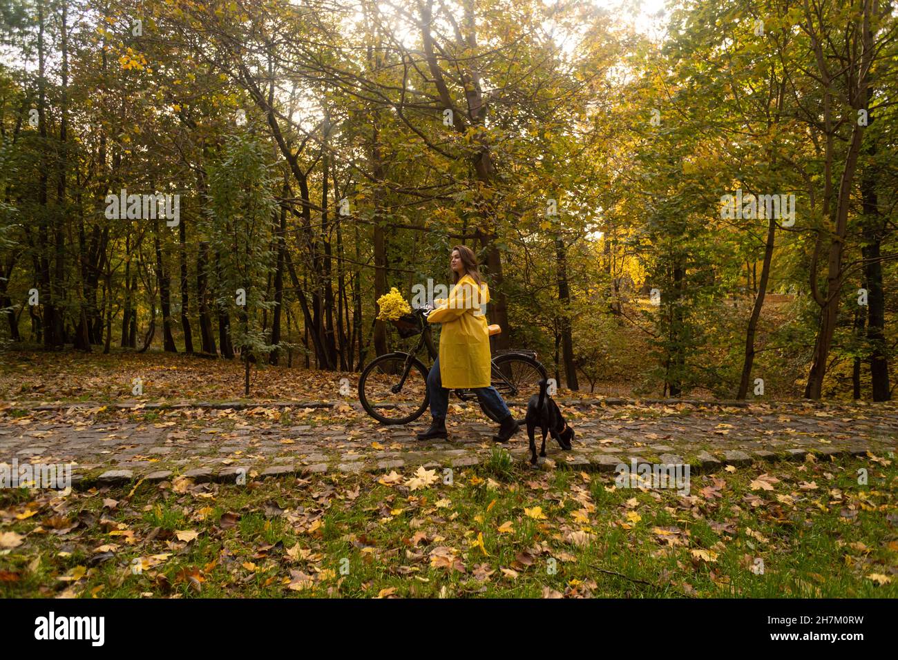 Woman wheeling bicycle by dog in autumn park Stock Photo