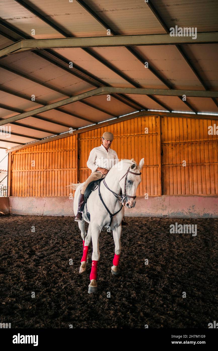 Girl feeding horse in stable Stock Photo Alamy