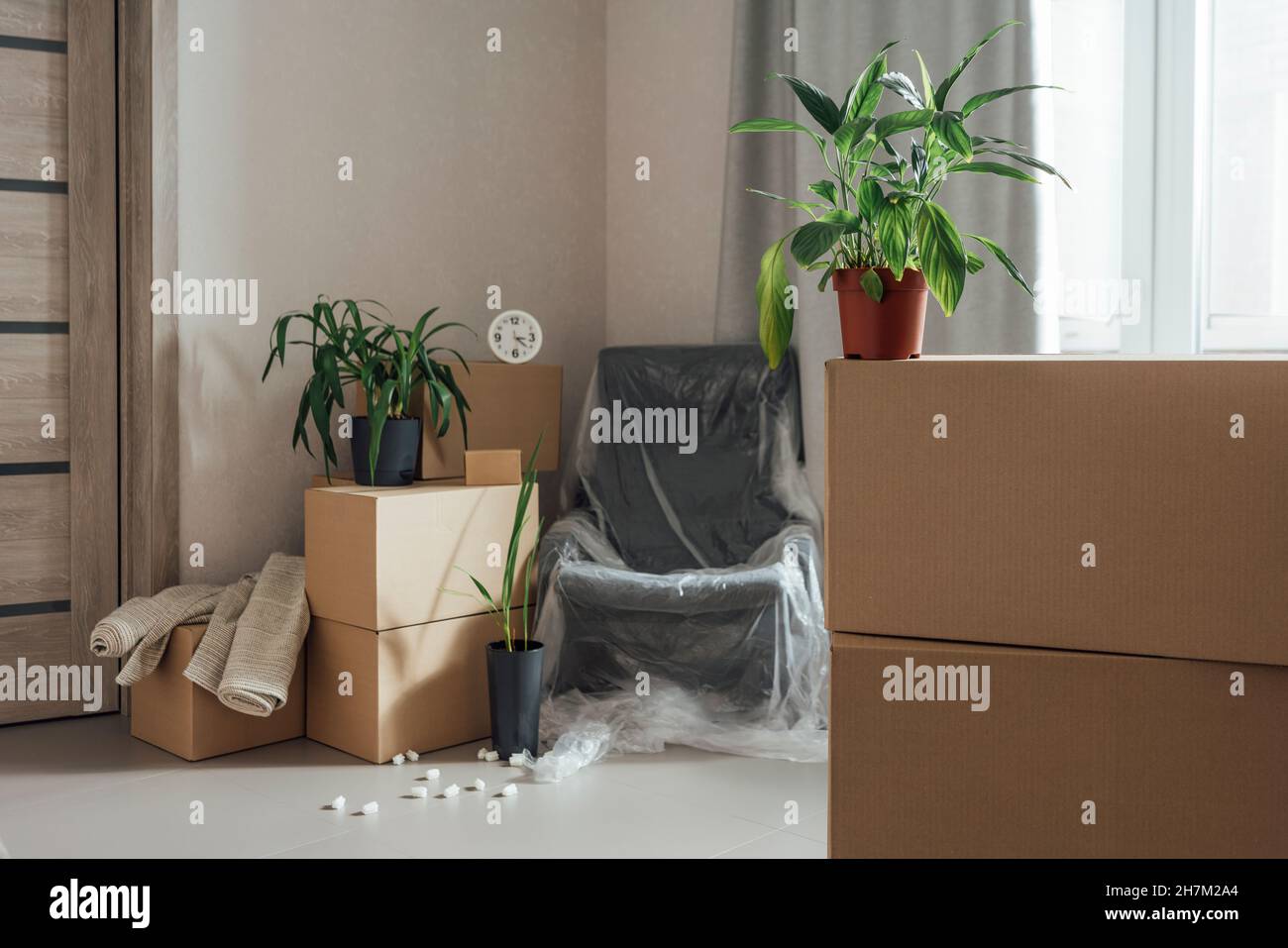 Plant boxes hi-res stock photography and images - Alamy