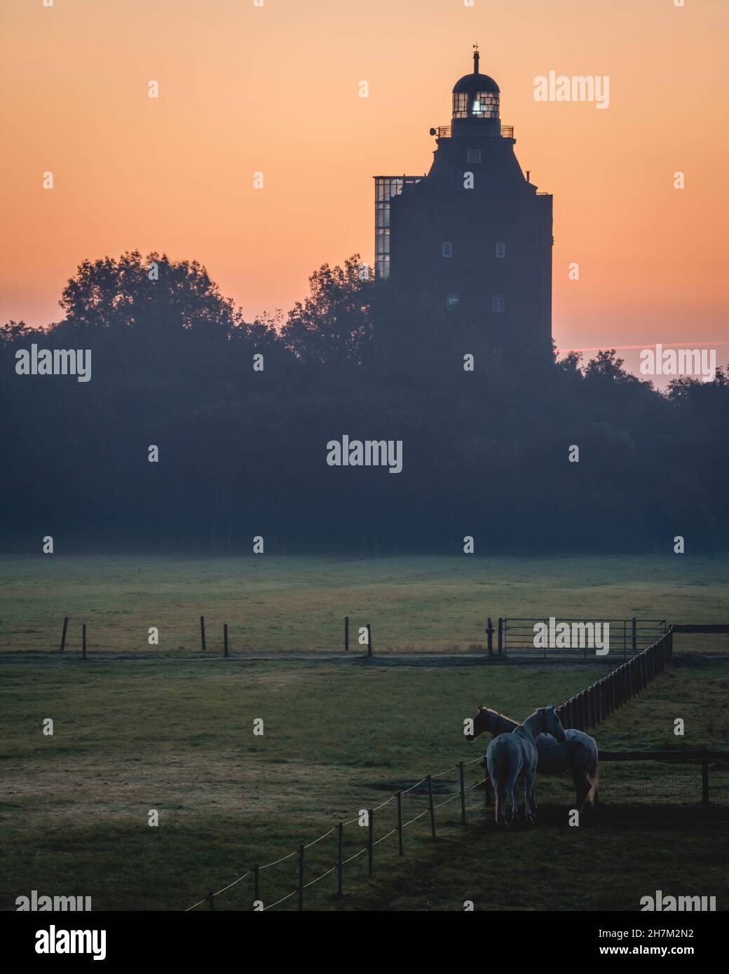 Germany, Hamburg, Two horses standing in paddock at dusk with Great Tower Neuwerk lighthouse in background Stock Photo