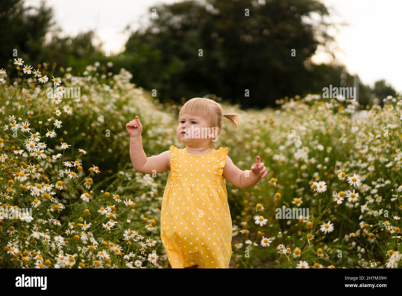 Cute toddler girl in yellow dress gesturing by flowers on meadow Stock Photo