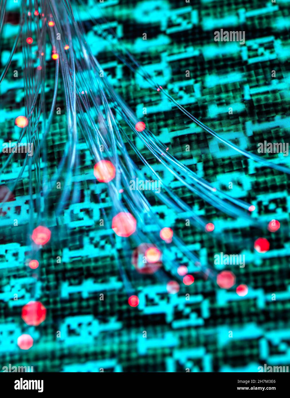 Fiber optics carrying computer virus attacking binary code Stock Photo