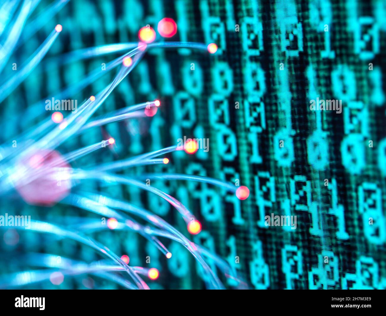 Fiber optics carrying computer virus attacking binary code Stock Photo