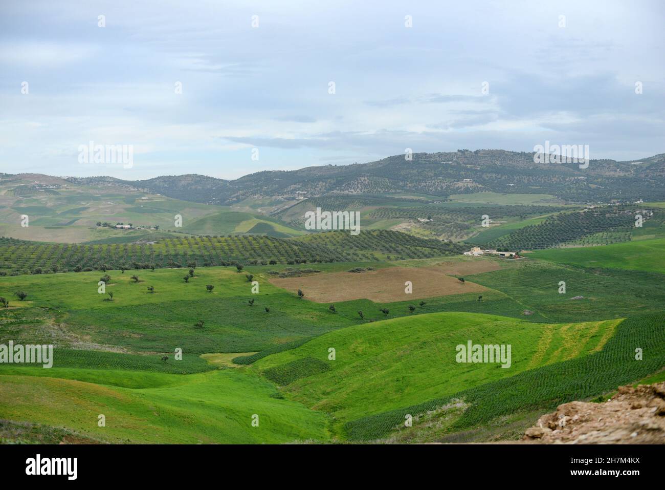 Agricultural landscapes in northern Morocco Stock Photo