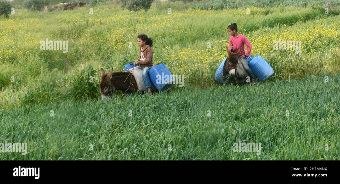 Moroccan girls riding their donkeys with water full jerrycans in northern Morocco. Stock Photo