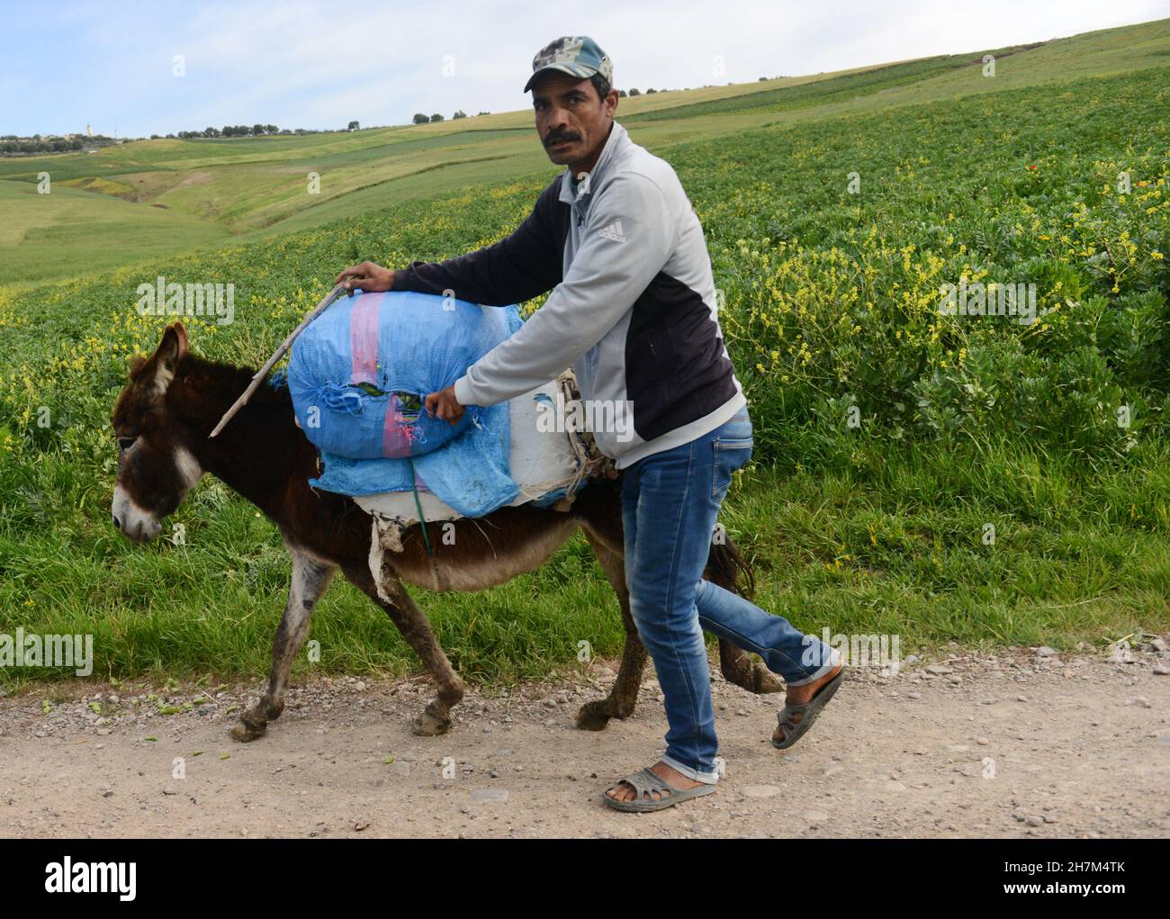 A Moroccan man riding his donkey cart in rural areas Stock Photo Alamy