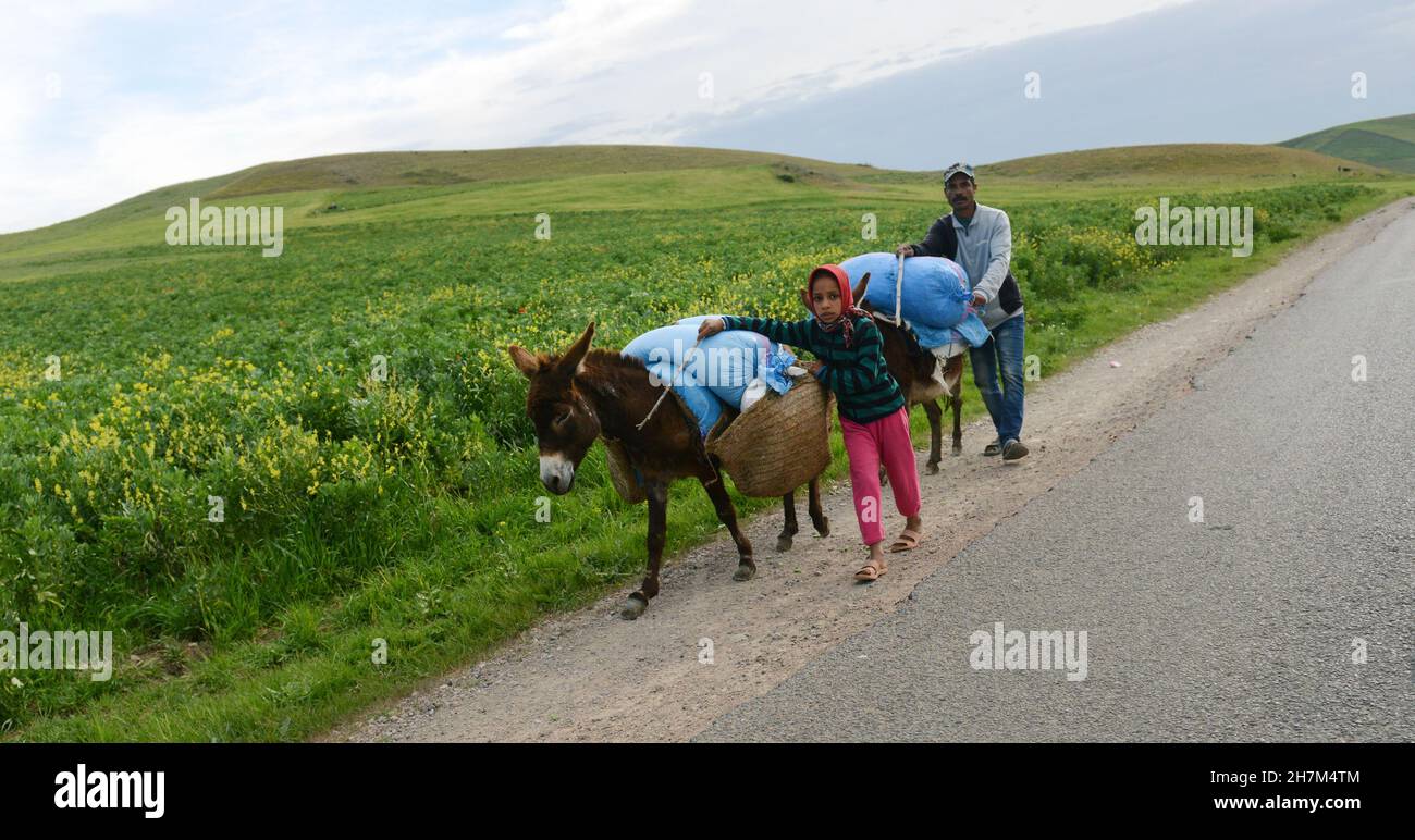 Moroccan villagers by their agricultural fields in northern Morocco. Stock Photo