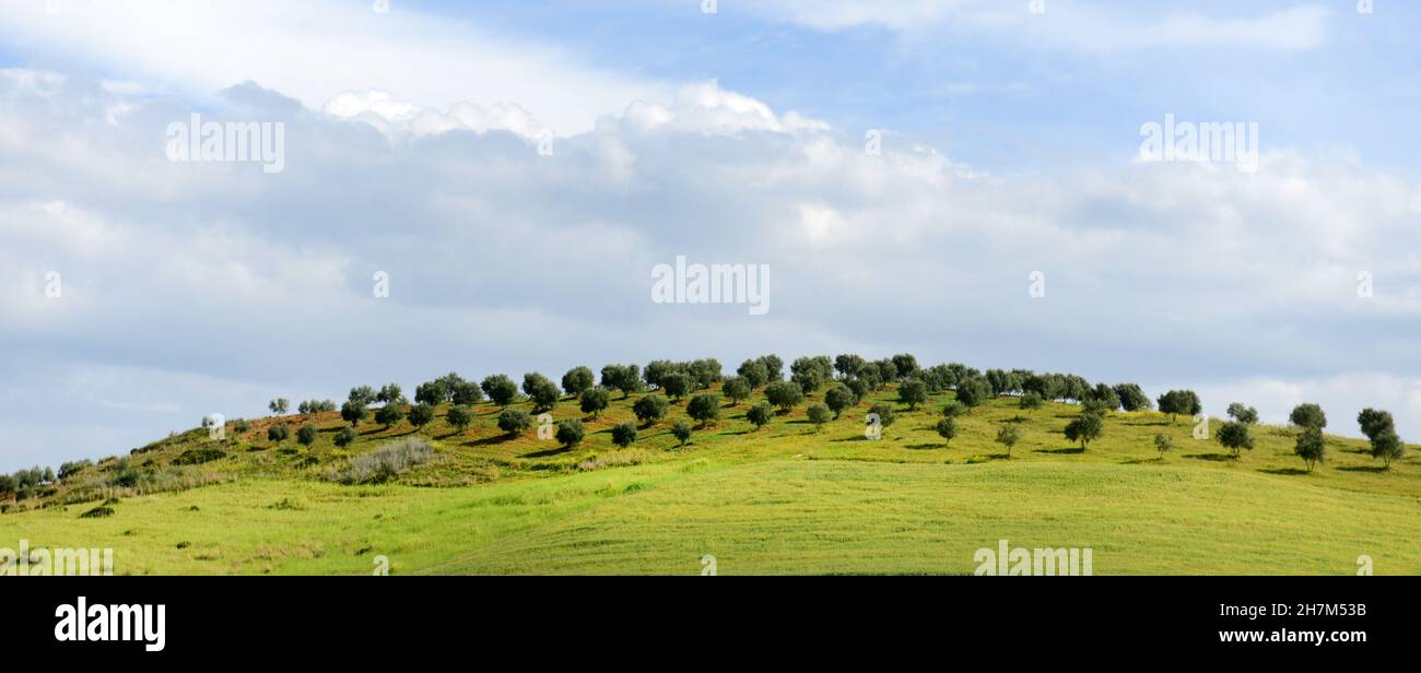 Agricultural landscapes in northern Morocco. Stock Photo